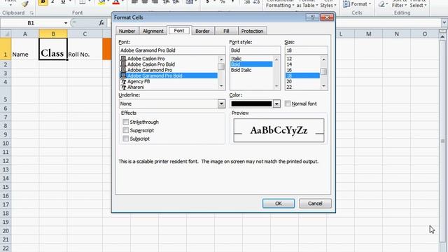 MS- Excel 2010 Editing & Formatting (Lecture-4)