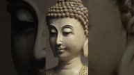 धन गया तो | #buddhateachings #shortstories #buddhastory #shortsfeed