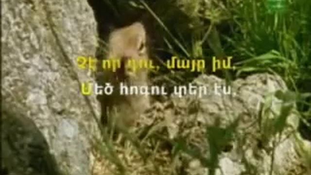 Armenian KARAOKE Es Tun Em Galis