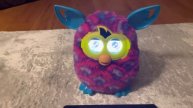 Using the personality changer App to use my purple waves Furby boom