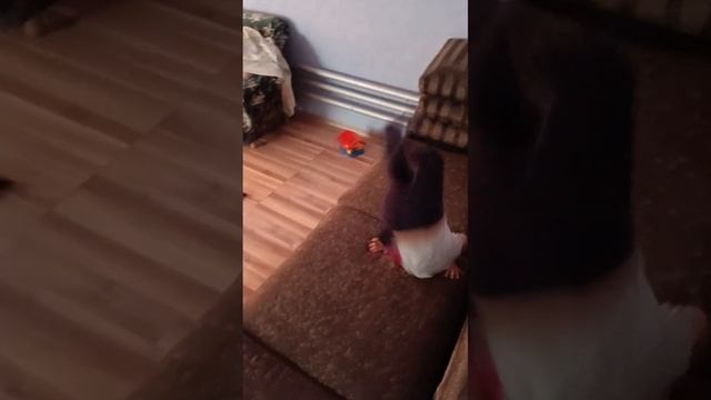 сальто мы стараемся для вас