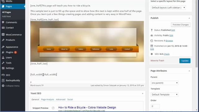 How to add content to your wordpress pages
