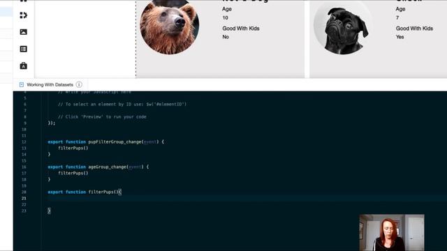 How to Set Filters on Your Dataset Based on User Input