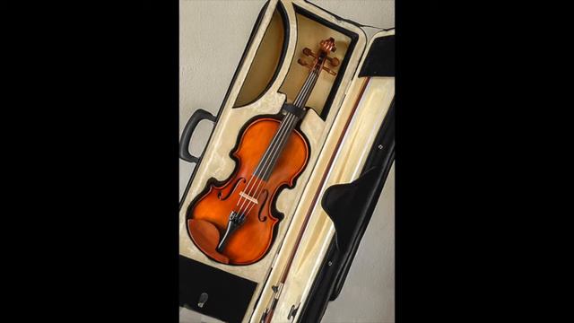 Kien Strings Violin | Kester Music