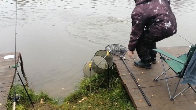 Светлые Горы Форель3 21.10.2023г.