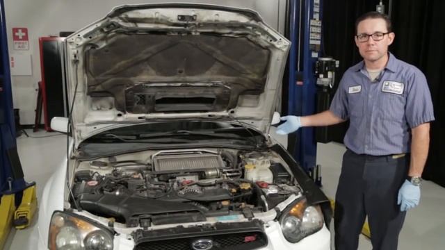 How to diagnose a Horn Circuit