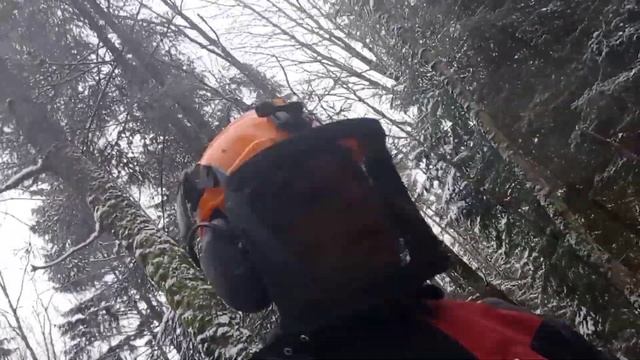 all day in the cold // Целый день и без костра // Зимняя валка леса // Stihl ms361