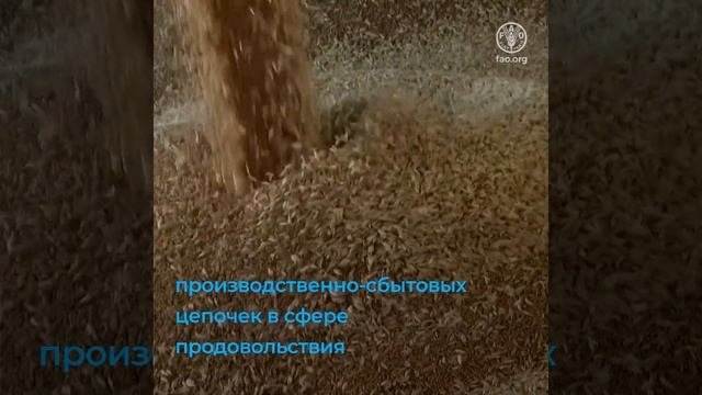 4 способа которыми наука технологии и инновации могут преобразовать агропродовольственные системы