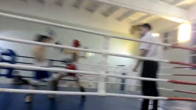 Предновогодний турнир по кикбоксингу 30.12.2015 (Красный угол) первое место