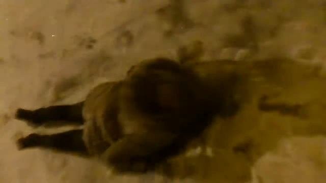 РЫБА НА СНЕГУ