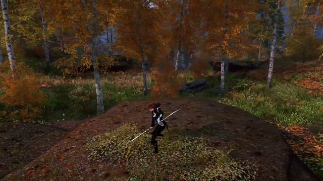 Such a wonderful time for Skyrim combat animations