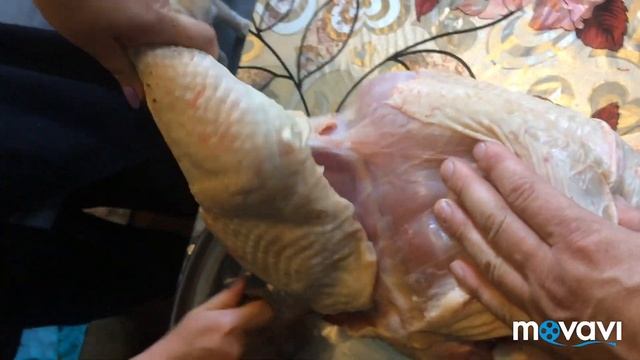 Сколько получили мяса с индюка Хайбрит 5 месяцев