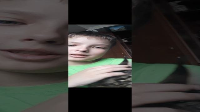 Возвращение Алисии