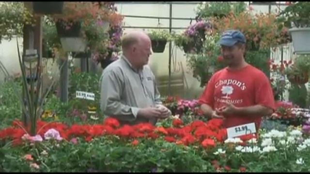Digging with Doug: Chapon's Greenhouse