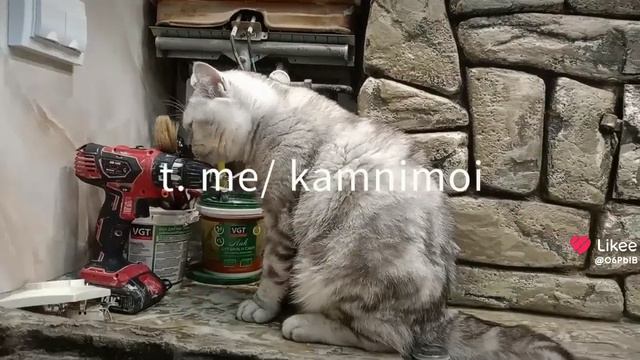 ремонт ванной#арт бетон камни