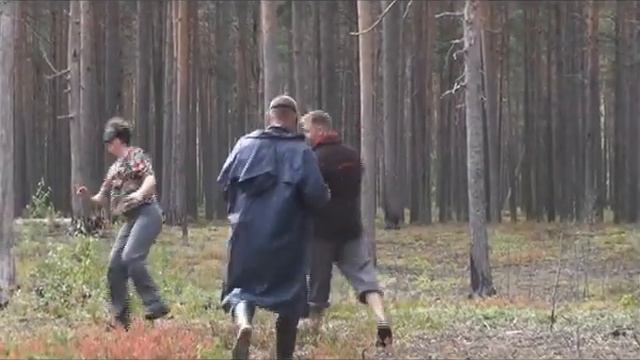 Слепые дни