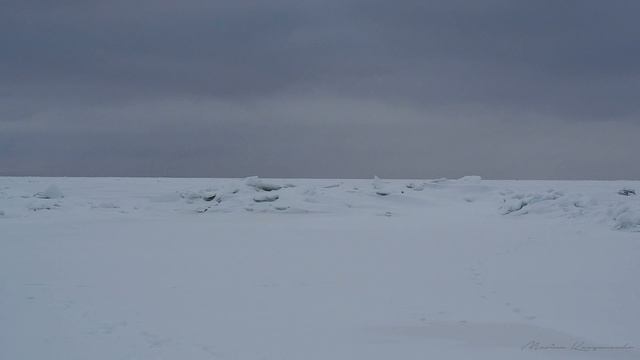 Зеленогорск, зима 2019