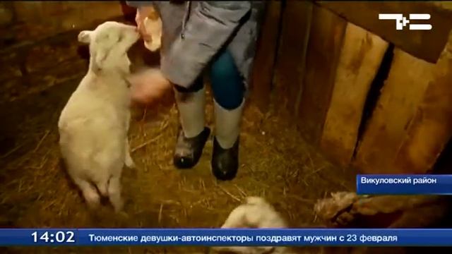 Ставка - на небольшие хозяйства
