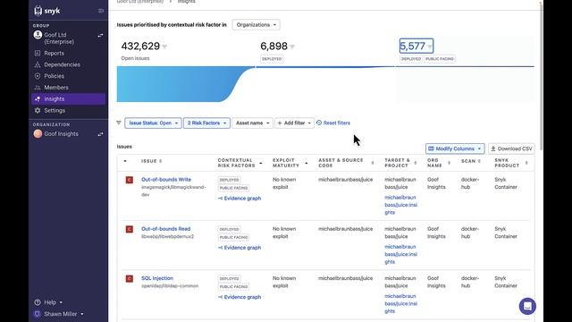 Using Insights (Snyk)