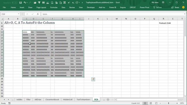 Excel - Master Excel's Time-Saving Shortcut for Perfect Column Fit | Empowering Episode 2144