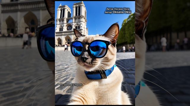 Кот Шалопай в отпуске в Париже.  Кот в синих очках #модные_животные #кот_в_очках #нейросеть #ai