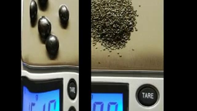 Обзор Патронов 410 Калибра Разных Производителей