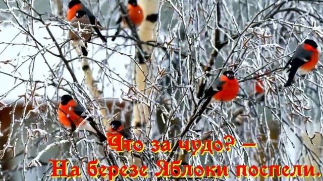 13.12.2023 доброе утро