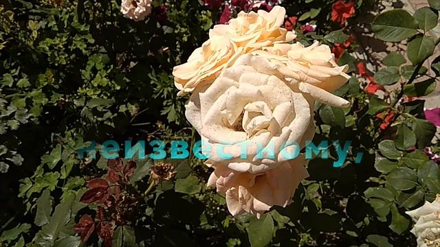 Девочка маленькая (Т. Лизьё)/Little girl (T. Lisieux)