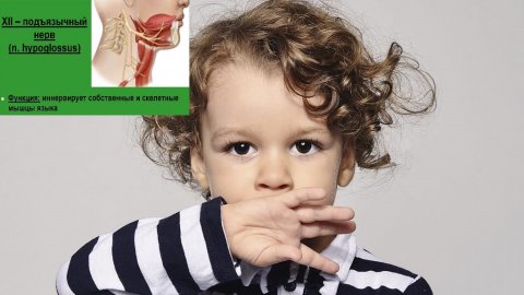 Ребенок не говорит. Часть 2. Причины: компрессия затылочно-сосцевидного шва и подъязычного нерва.