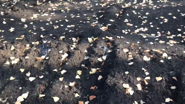 В Гранном не убрали часть мазута