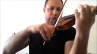 Old violin with evah pirazzi strings