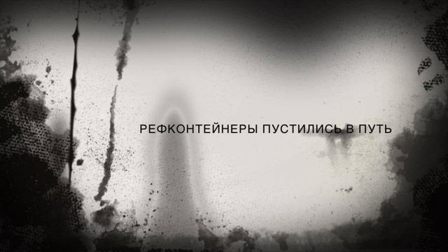 RefKont / РефКонт. Рефконтейнеры Аренда, продажа, ремонт Https://RefKont.ru  +7 (985) 265-26-2