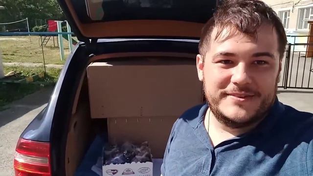 Сделали хорошее дело