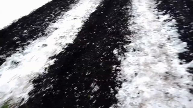 Посадила лук под зиму