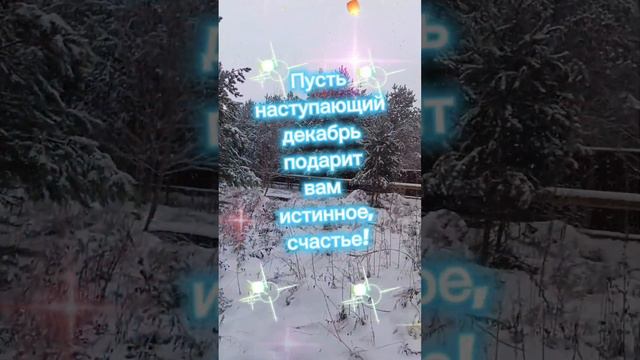 Пожелания доброго зимнего вечера❄️❄️❄️/Добра и мира ☀️☀️☀️