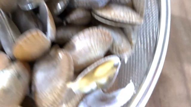 簡單料理絲瓜炒蜆食譜，用最少調味料做出好食到爆的做法，蛤蜊吐沙最快的方法，教你花甲好吃的訣竅，花蛤肉嫩鮮香，絲瓜清甜爽脆 【啫喱學煮】