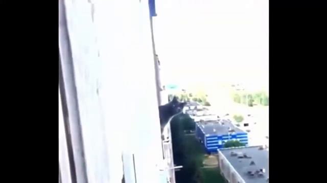 Лучшие приколы! Смешные приколы! Смешное видео! Смешные животные Апрель 2016