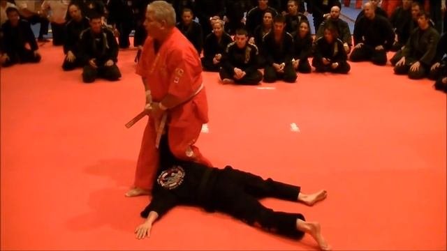 Jiu-Jitsu Budo Ryu Robert Panneton 10 Dan