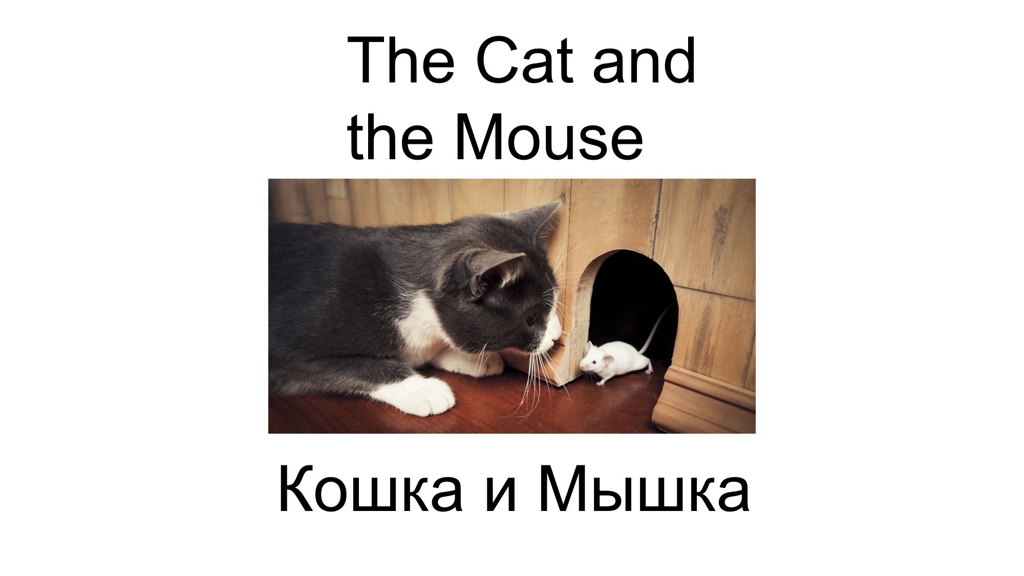 Как мышка возвращала хвост The Cat and the Mouse Рассказ на английском и русском детям Кошка и Мышка