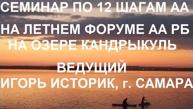 Семинар по 12 шагам АА на озере Кандрыкуль Игорь Историк