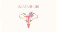 Влагалище - как оно устроено и что важно помнить?