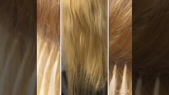 Галерея работ студии "LockOnHair". Наращивание волос 120 грамм 50 см
