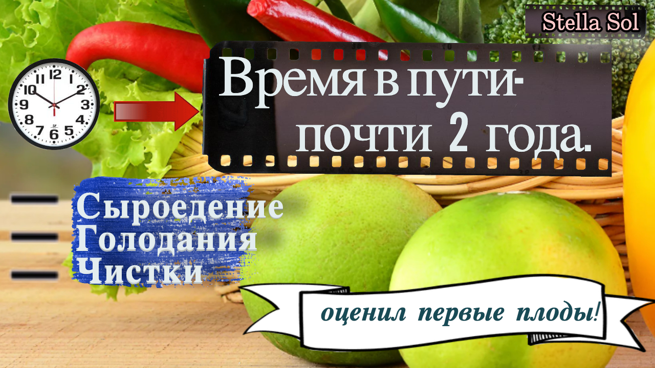 Новое тело, новые возможности. Выносливость, память, острота реакций #сыроедение #голодания #неед