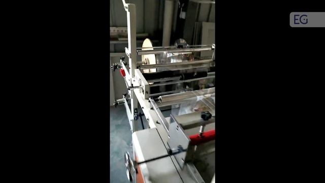 Видео работы оборудования для производства пакетов с боковым швом серии RD