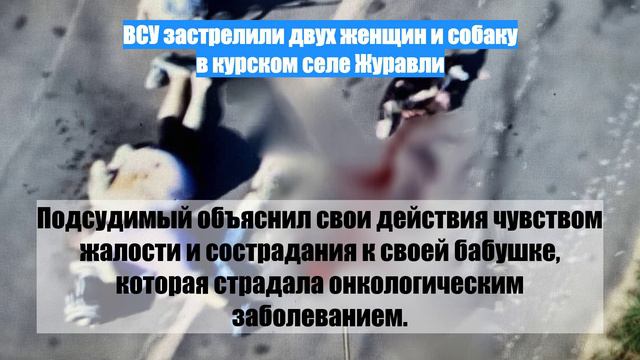 ВСУ застрелили двух женщин и собаку в курском селе Журавли