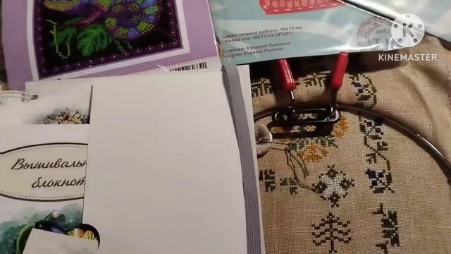 km_20231125_720p_30f_20231125_221602.mp4