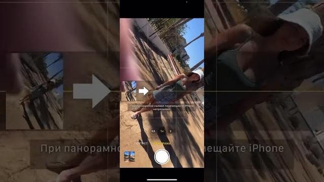 как красиво сфотографироваться с пальмой?