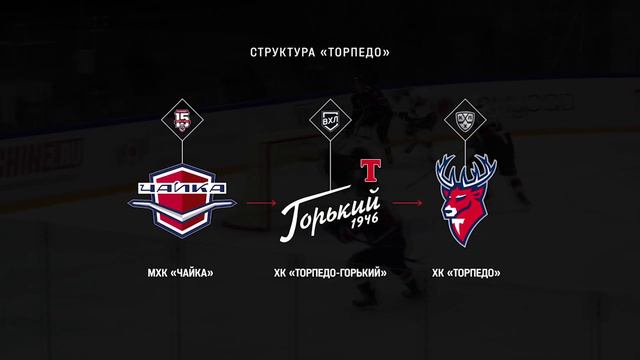 Стартовали сборы возрождённой нижегородской хоккейной команды "Торпедо-Горький" 12+