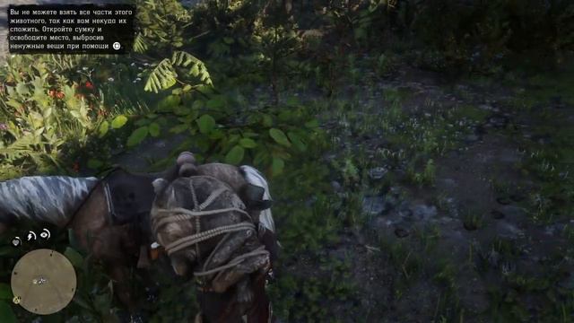 Red Dead Redemption 2
1000048327.mp4