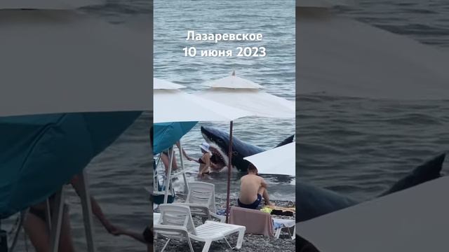 #лазаревское #сочи #2023  человек в пасти акулы на центральном пляже